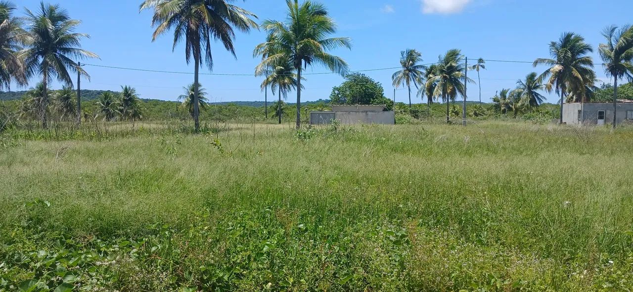 Terreno em Itapssuma  - Foto 3