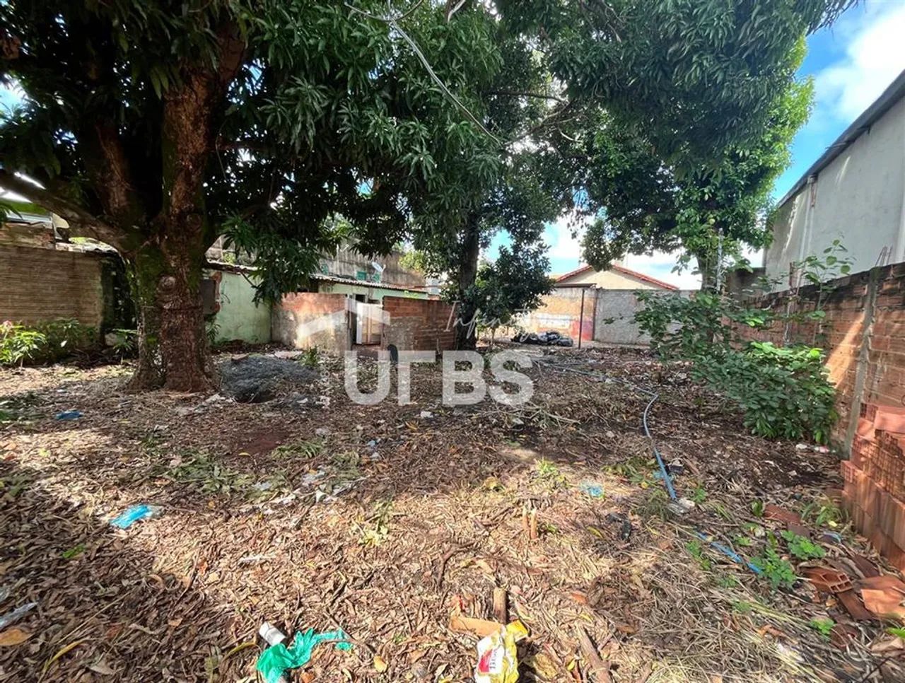 Lote Comercial - Foto 4