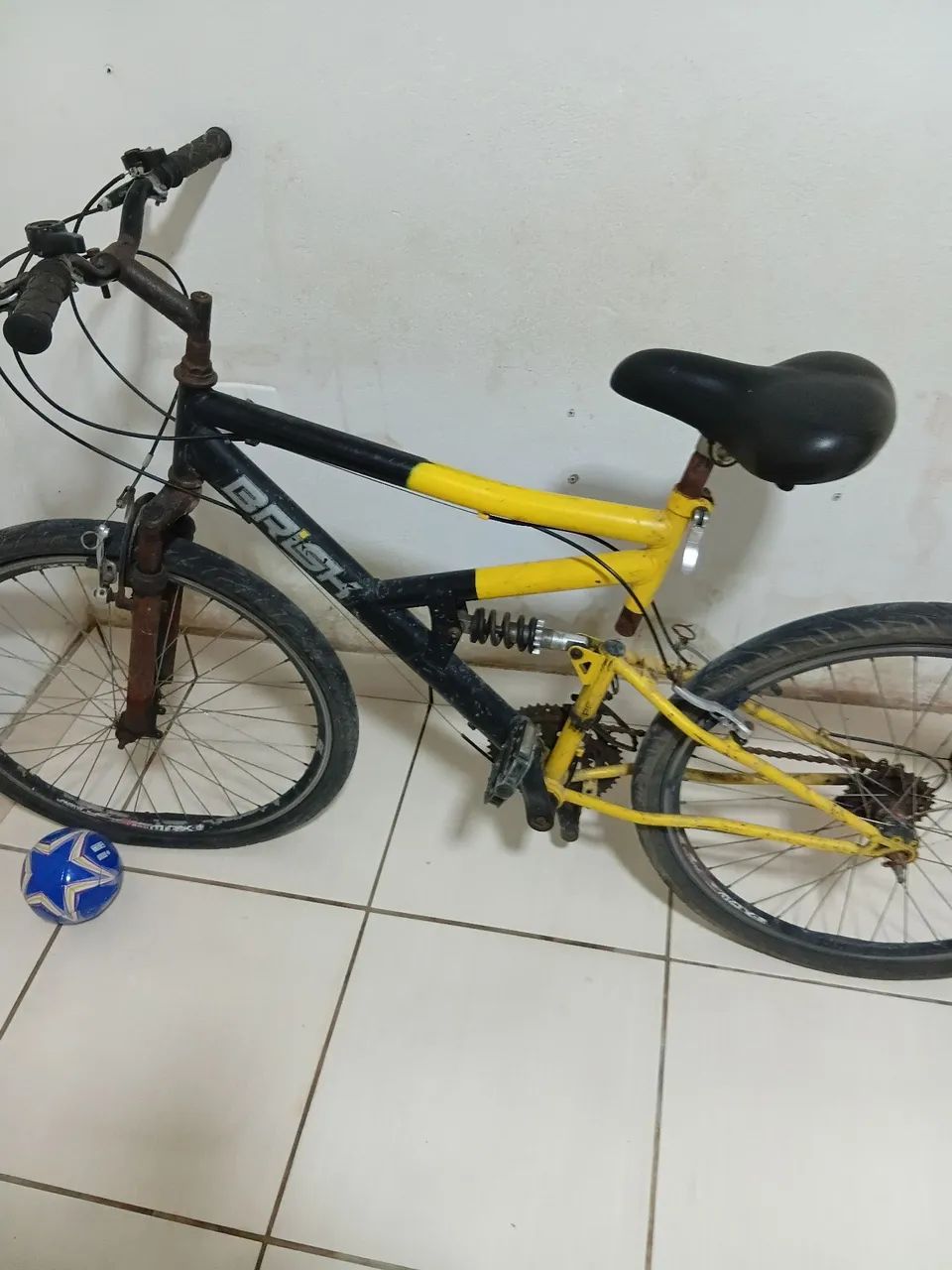 Bicicleta 