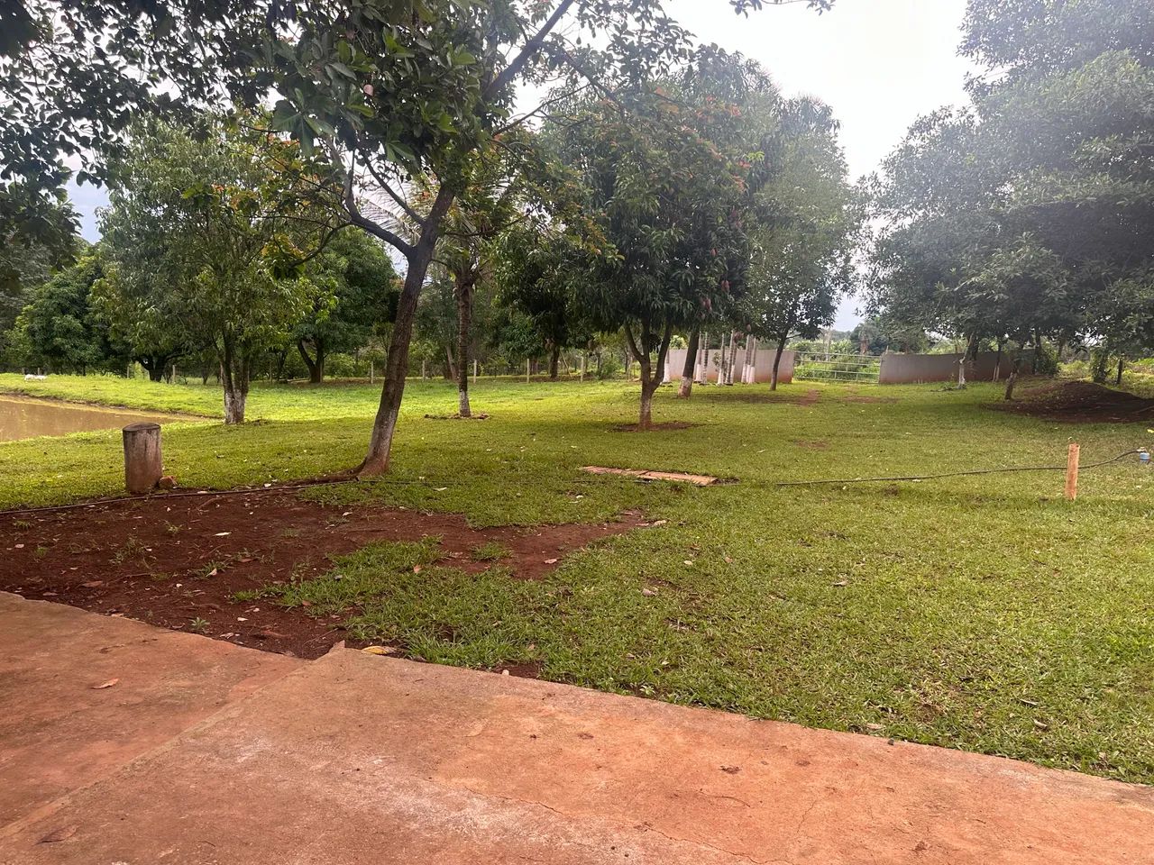 Chácara em Bela Vista - Foto 4