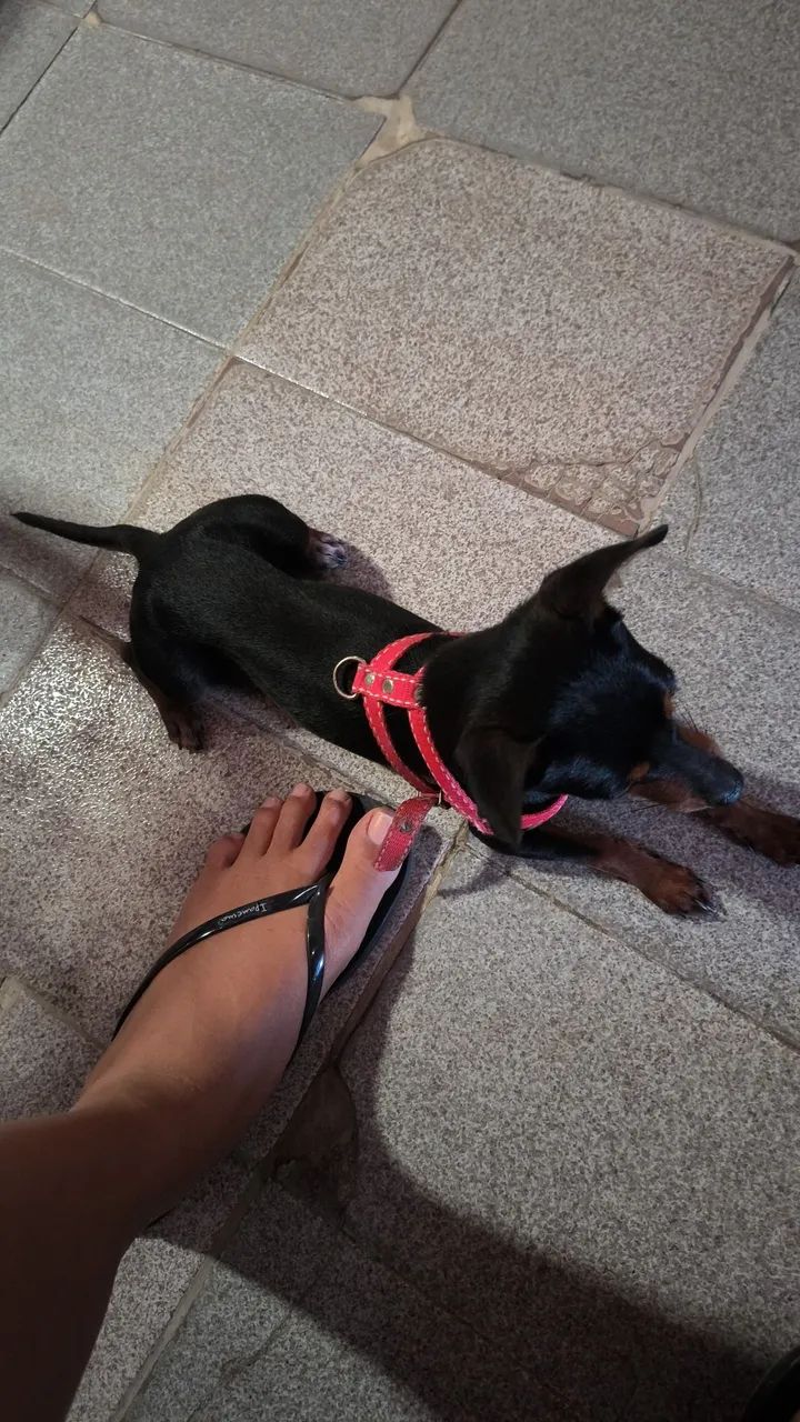 A procura de uma namorada  - Foto 3
