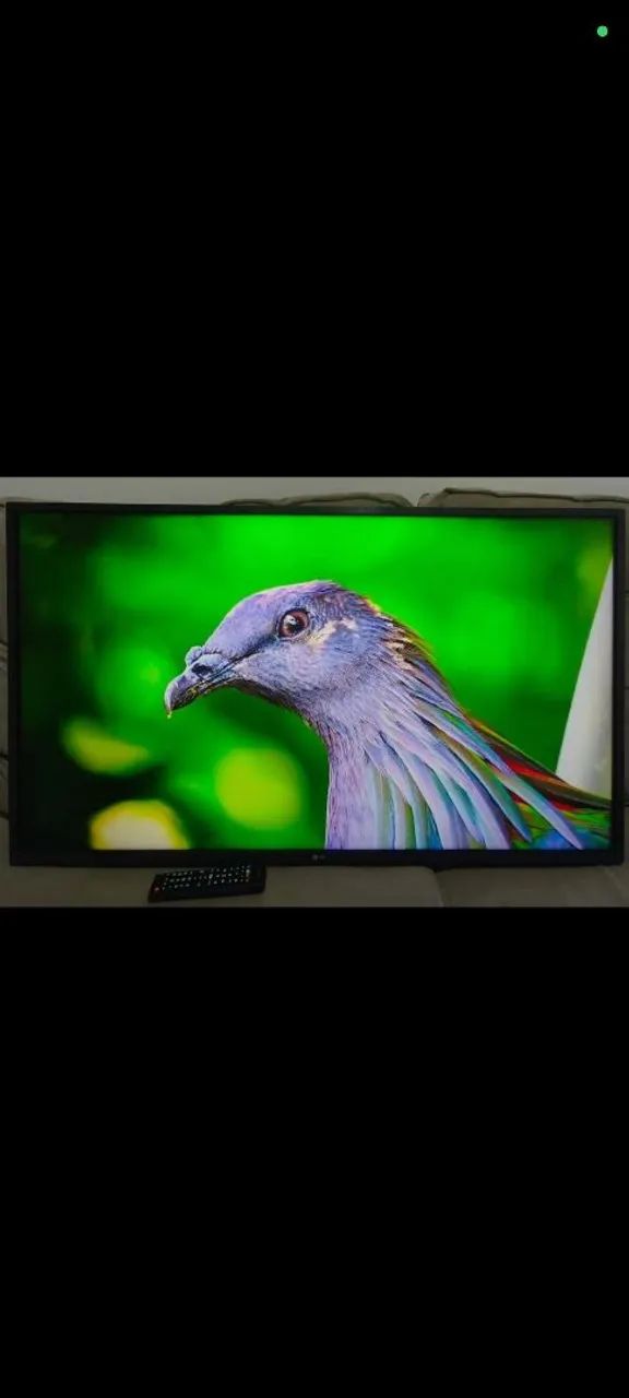 Tv Smart LG 43 Polegadas Completa Top de Verdade! - Foto 3