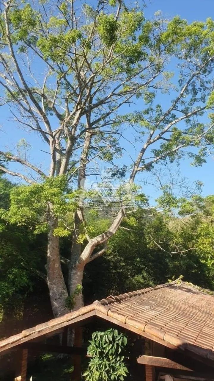 Sítio à venda no Km 101 - Salesópolis / SP - Cod. SI0002 - Foto 3