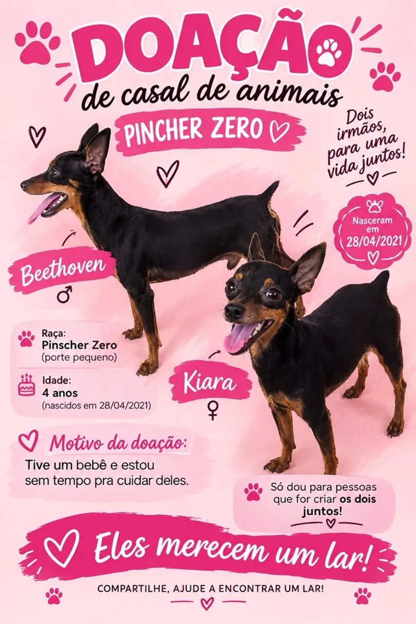 Doação 