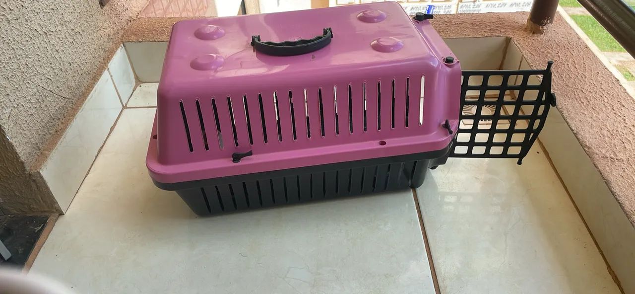 Casinha de pet