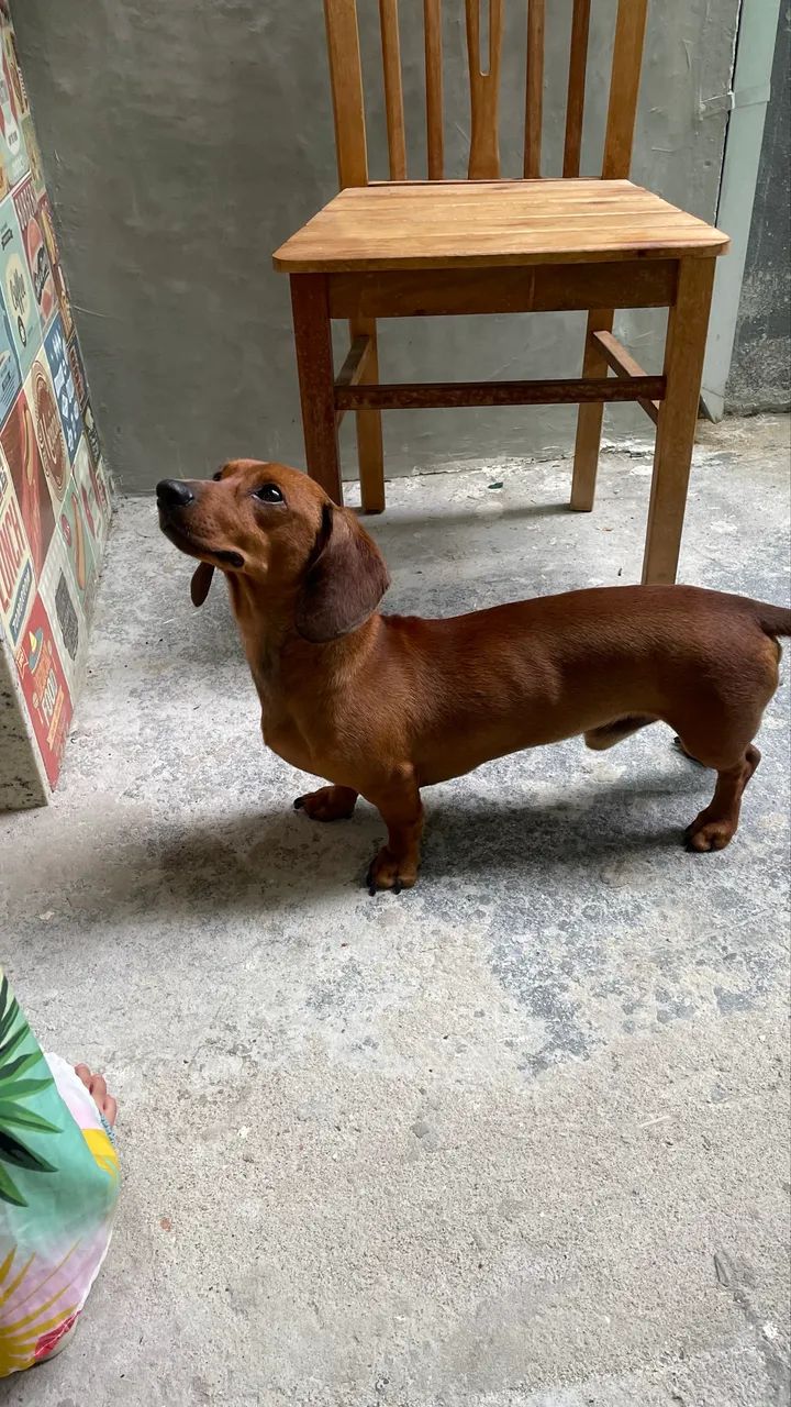 Procuro uma namorada  - Foto 4