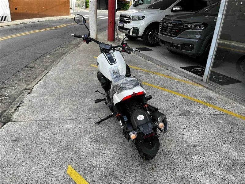 SHINERAY TITANIUM 250  - Foto 5