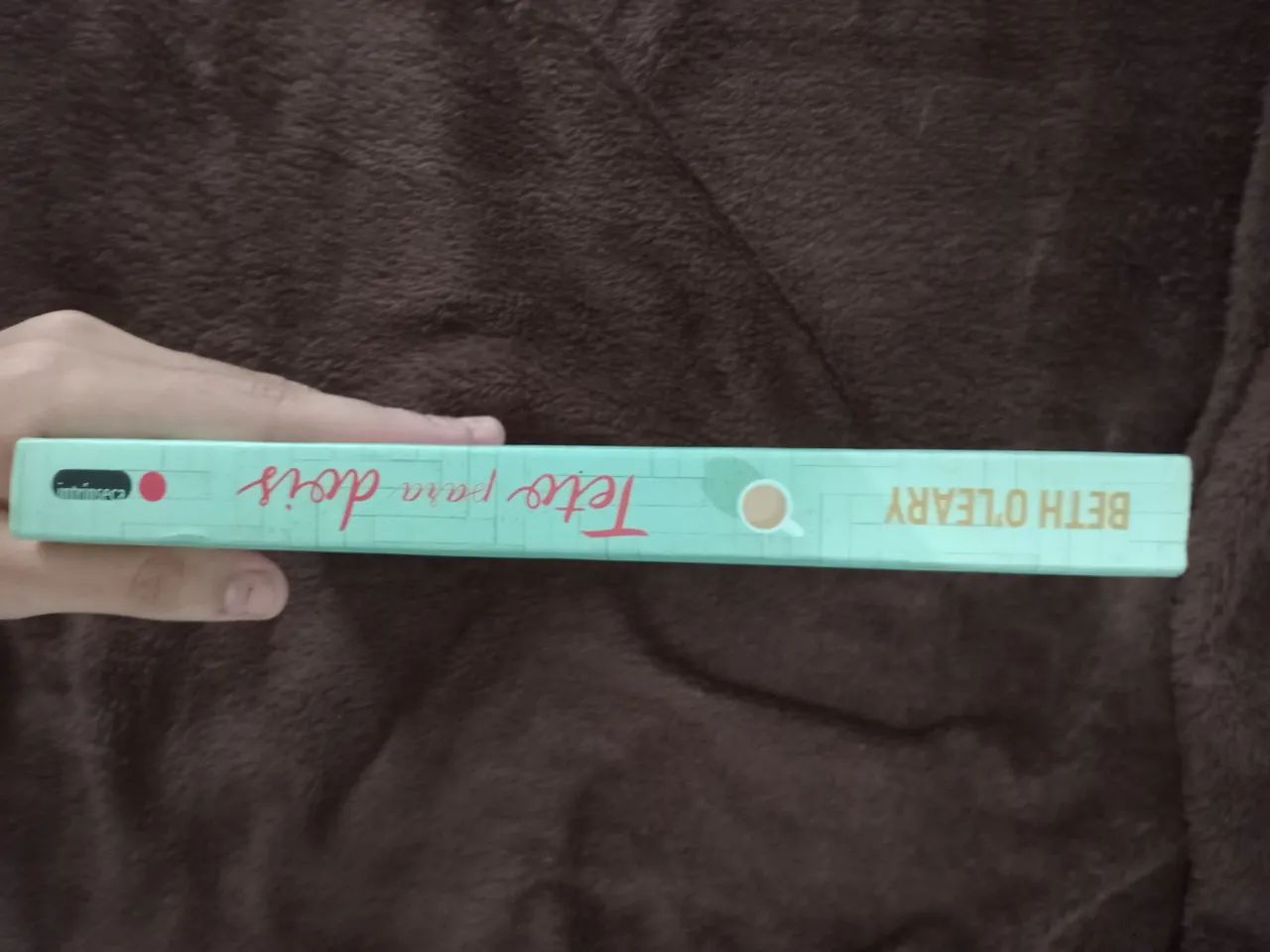 Livro Teto para dois  - Foto 4