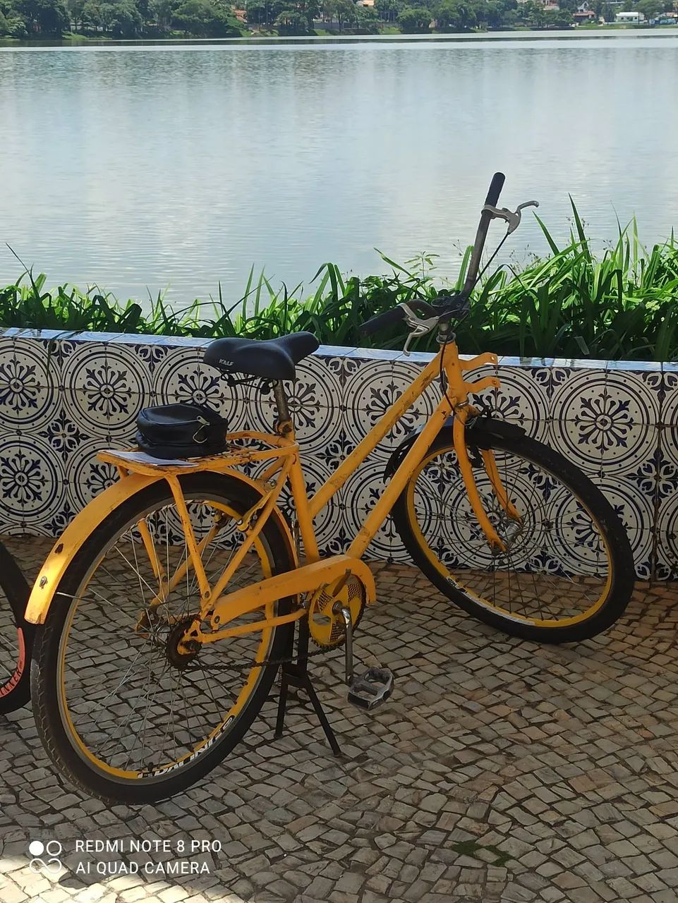 Bicicleta carga