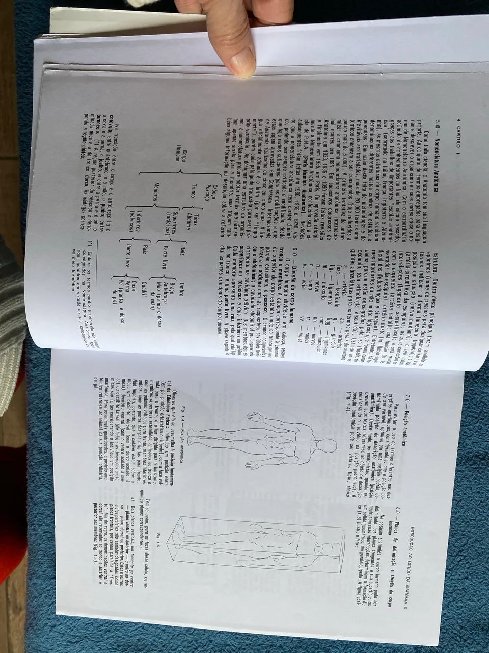 Livro - Foto 3