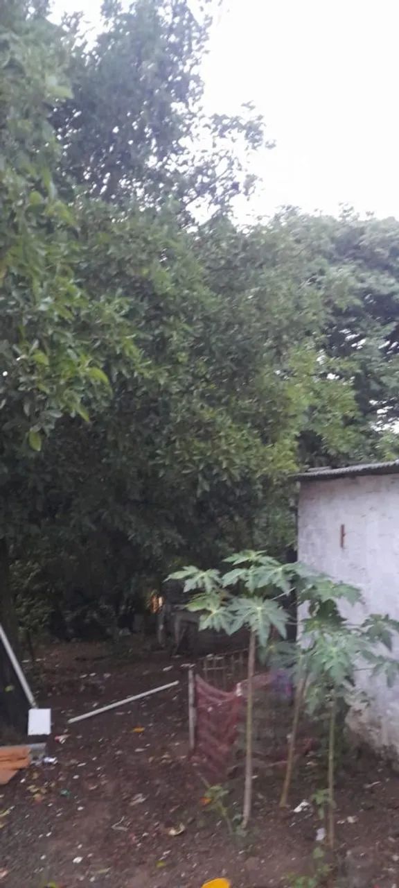 Vendo chácara 1200 mtrs área verde - Foto 2