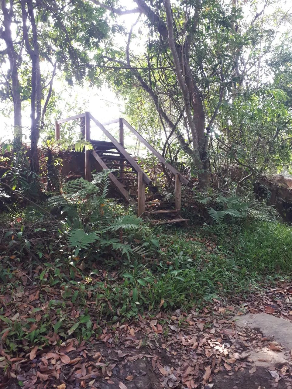 Chácara  Aragoiânia - Foto 4