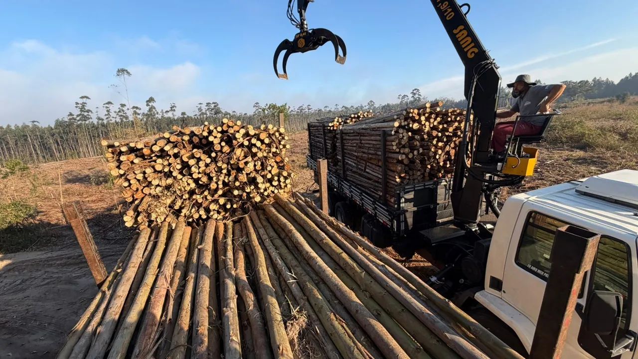 Construção civil 