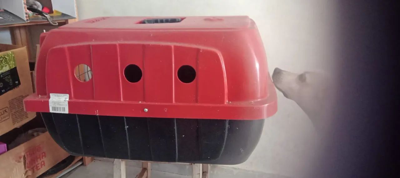 Caixa para Pet / Tamanho: 44 L X 40 A X 64 C