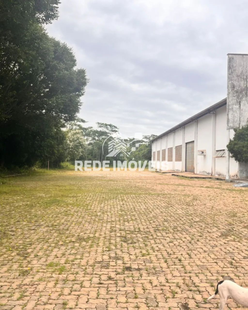 ALUGO GALPÃO COMERCIAL NA BR 343 - Foto 3