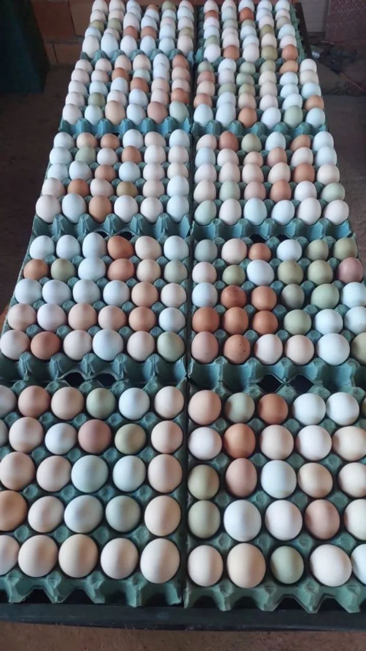 Ovos caipira 