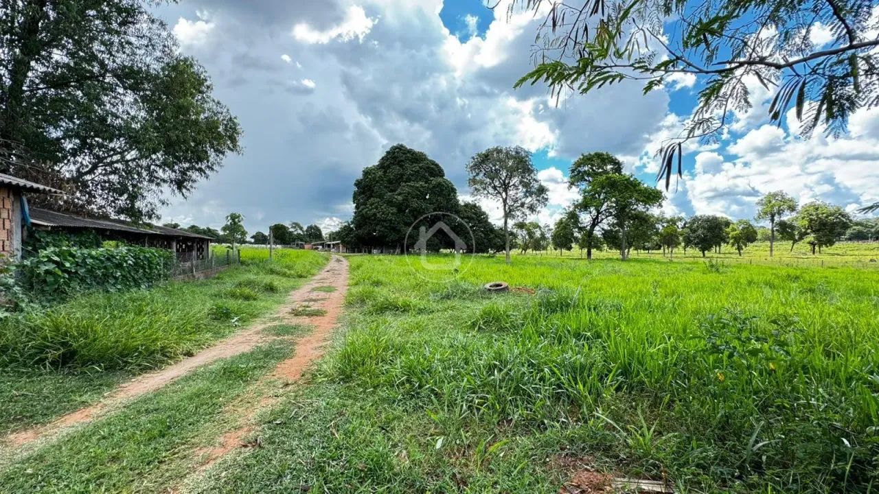 SITIO COM 31 HECTARES FORMADO - Foto 2