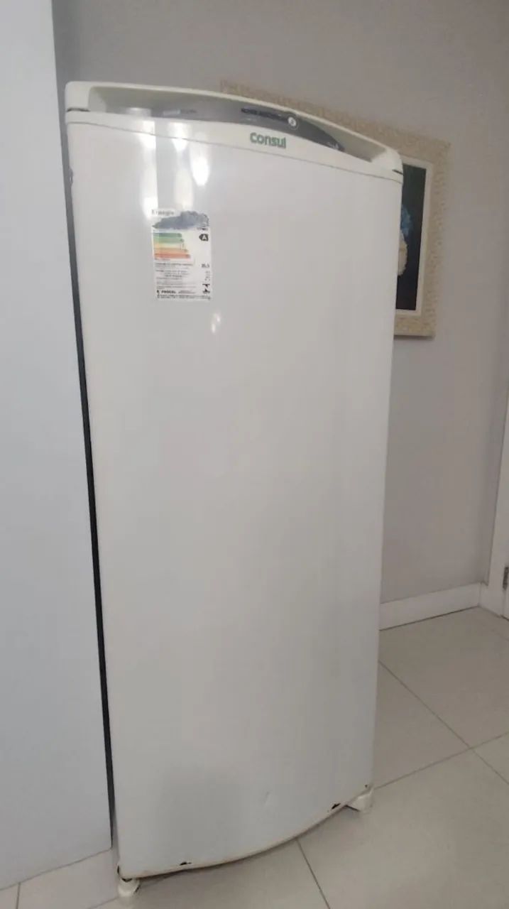 Geladeira Consul 300L
