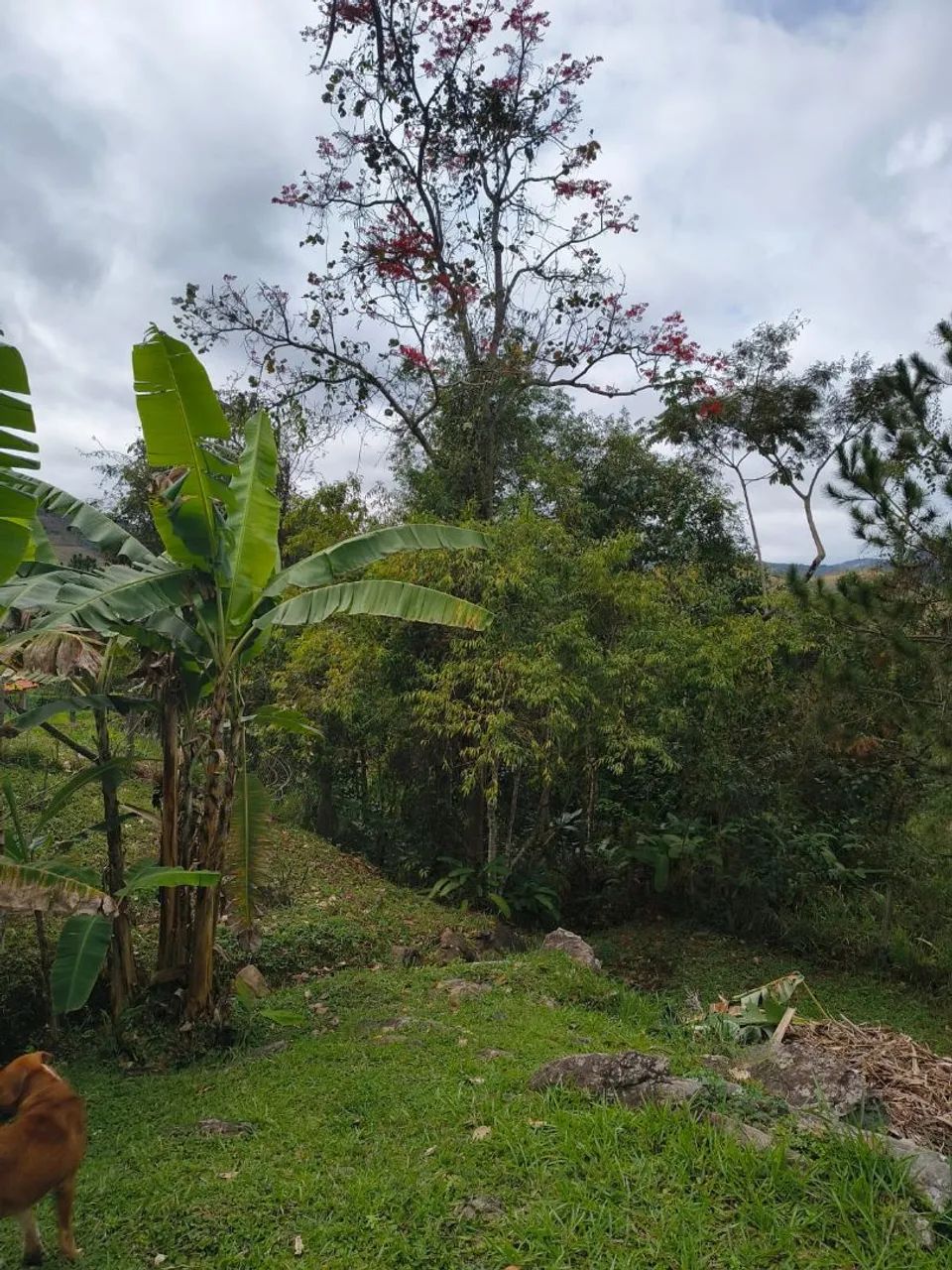 Serviço gerais 