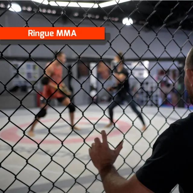 Tela para ringue de luta Academia MMA - Foto 3