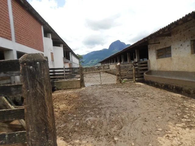 FAZENDA - Foto 3