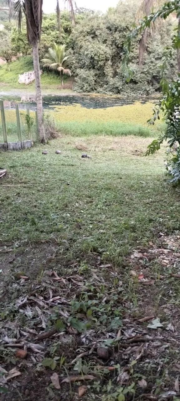 Lotes de terreno e mini chácaras  - Foto 5