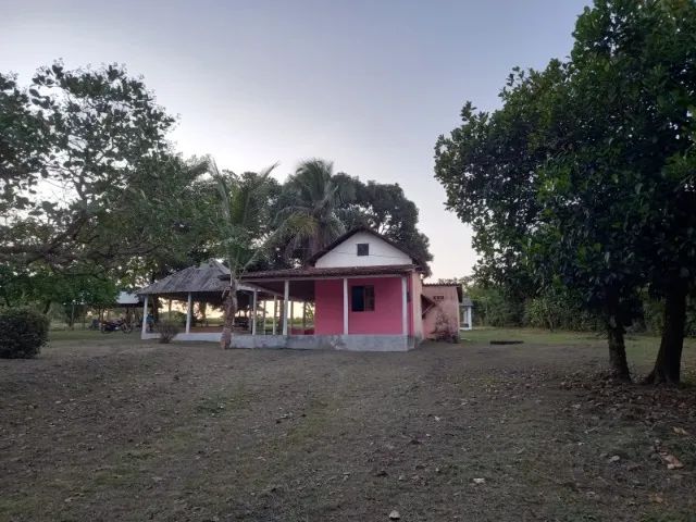 Sítio com 21.000 m² na estrada de Salinópolis - Pará - Foto 5