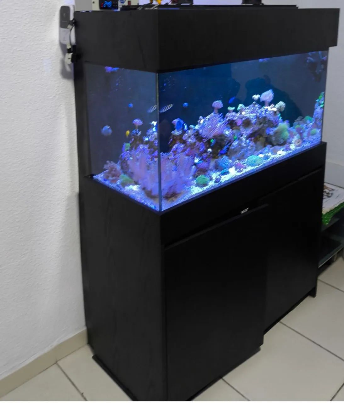 Aquário Marinho 200 litros