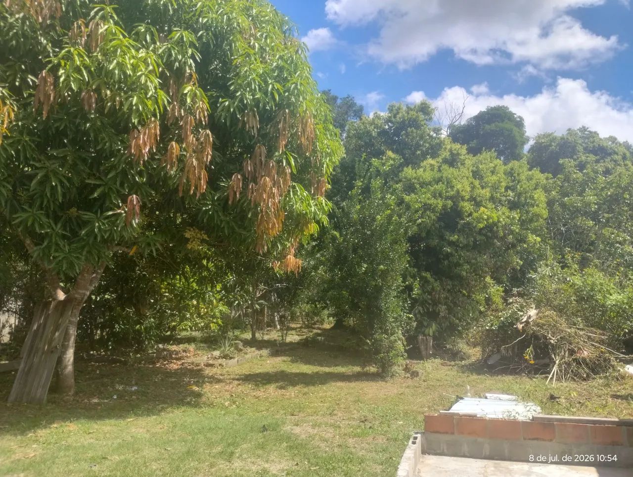 Excelente lote para chácara 20x40 todo murado e com fruteiras - Foto 5