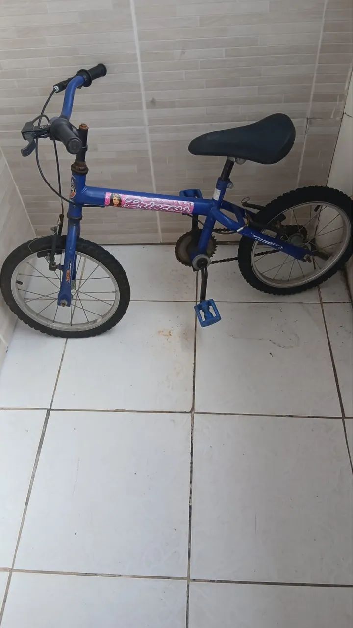 Bicicleta Aro 16