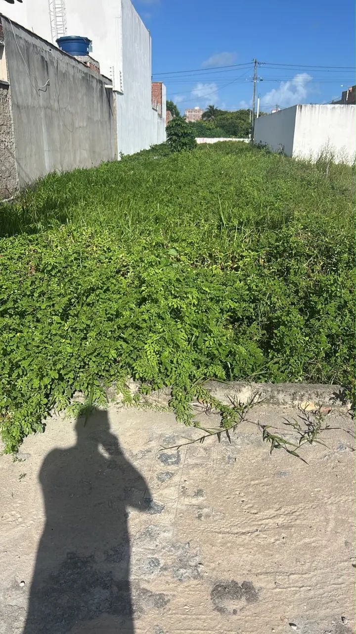 Vende-se Terreno em Tamandaré Pernambuco