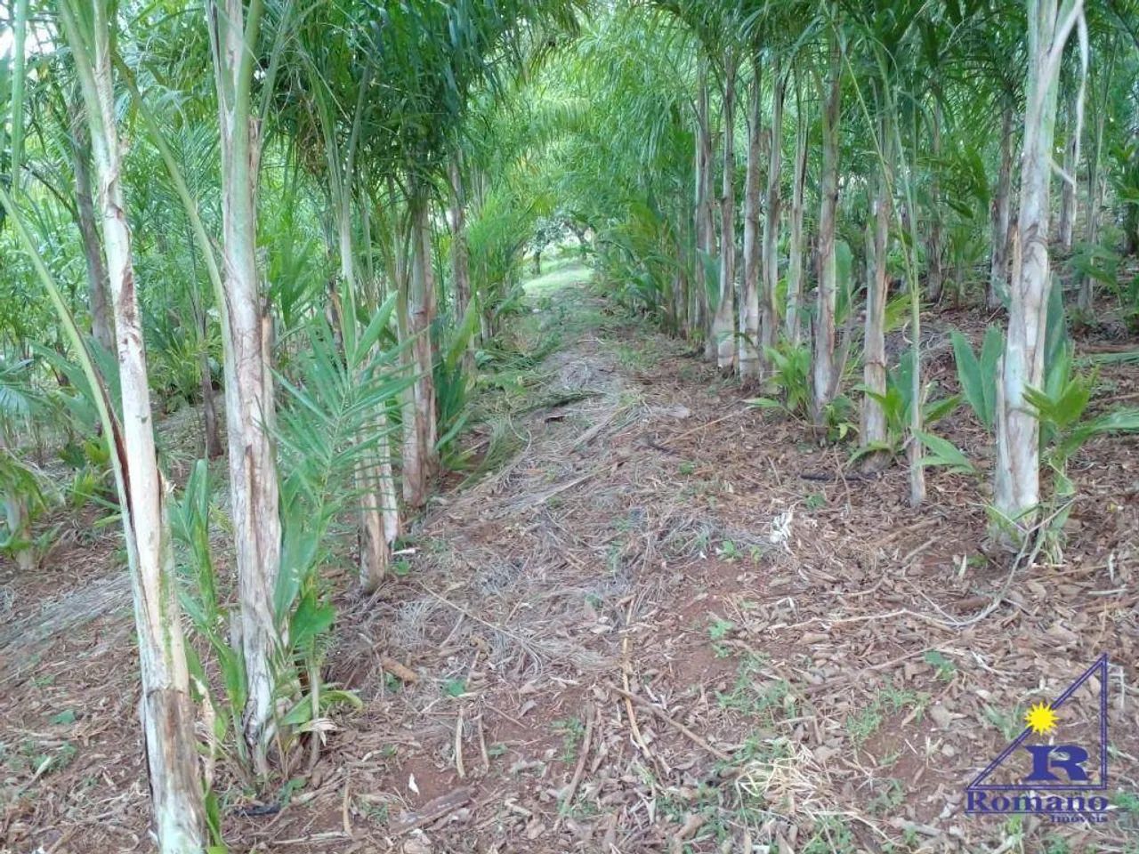Terreno São Pedro....10.280 - Foto 5