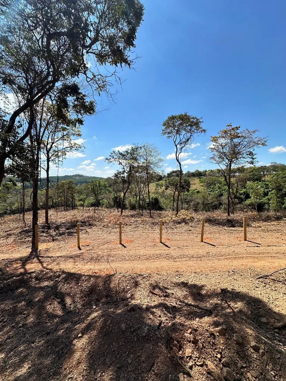 Sítio 2,5 hectares sem benfeitorias  - Foto 3