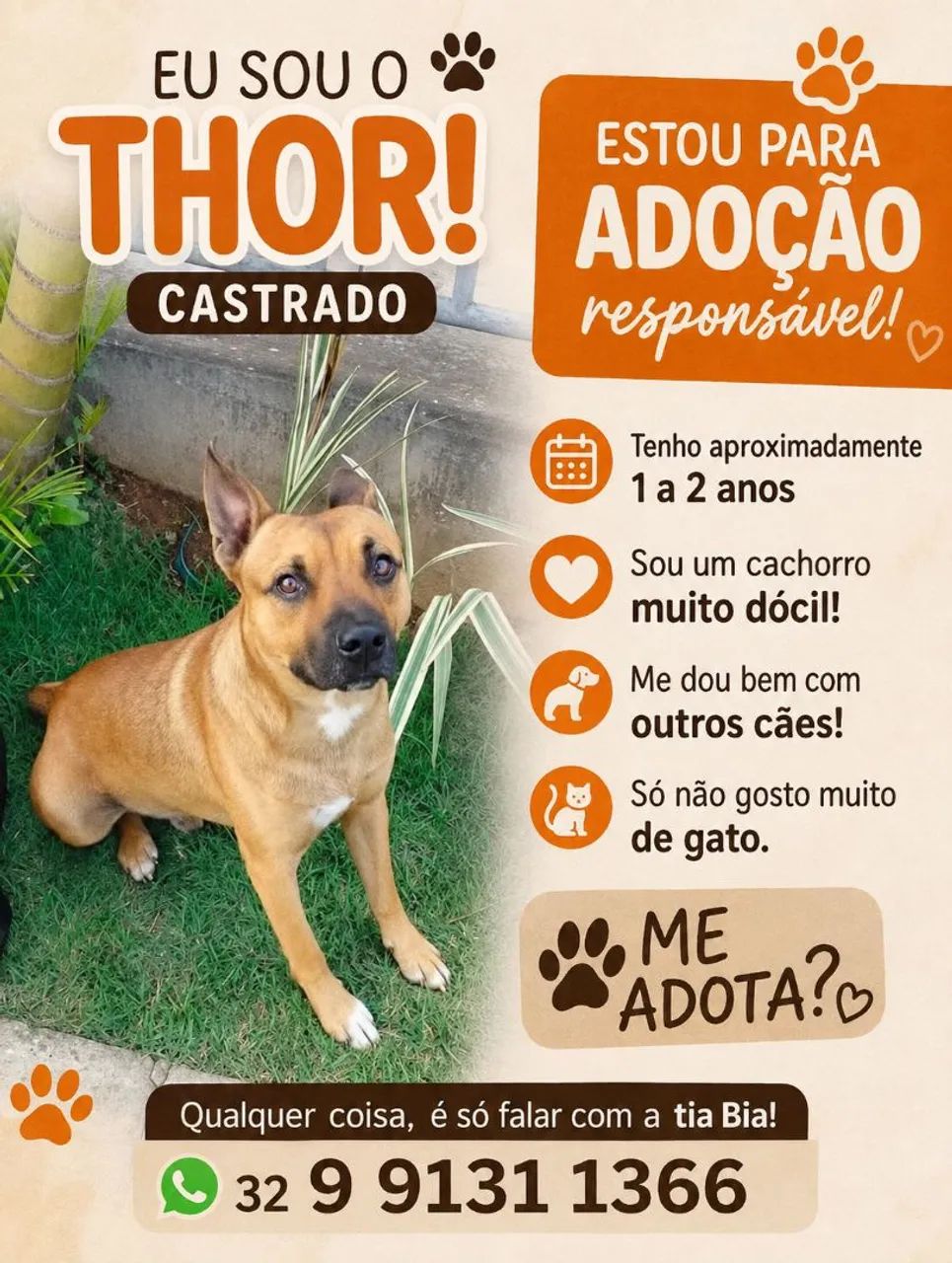 Doação 