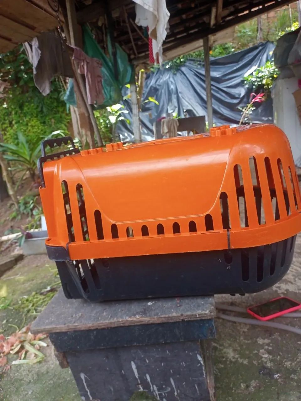 CASA PARA TRANSPORTE DE PET - Foto 4