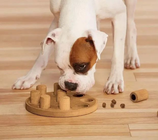 Jogo Tabuleiro, Brinquedo Interativo, Quebra-cabeça, Enriquecimento Ambiental para cães 