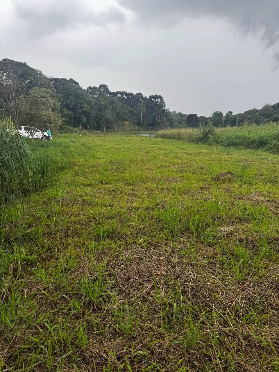 Terreno 732 m2 - São Caetano - Balsa nova Pr - Foto 4