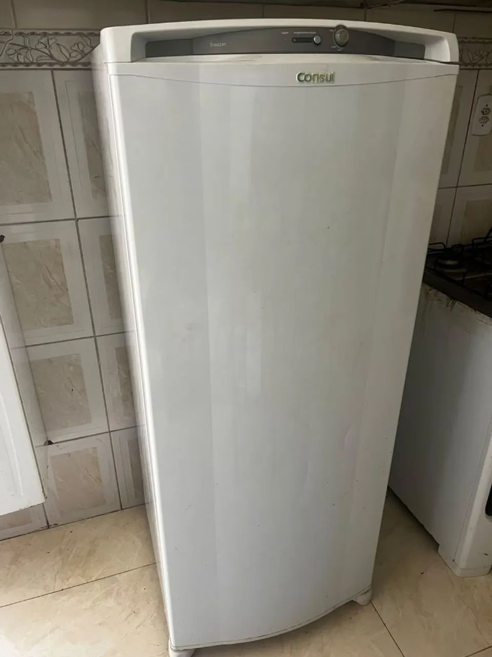 Freezer vertical 