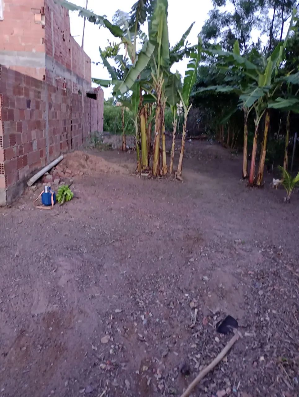 Foto - São Francisco de Itabapoana - 