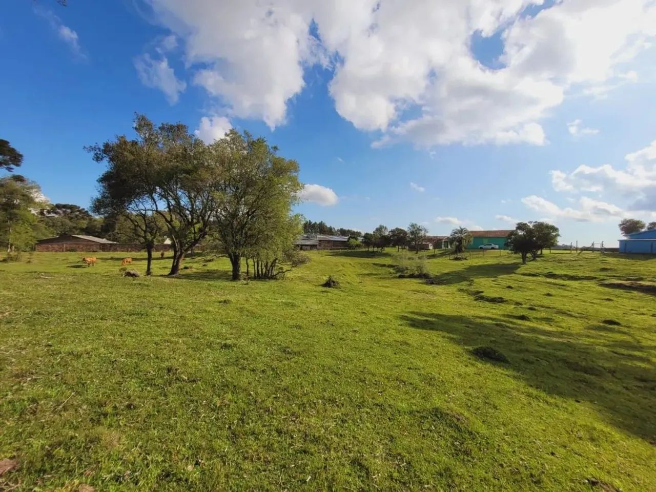 CAXIAS DO SUL - Terreno Padrão - ANA RECH - Foto 7