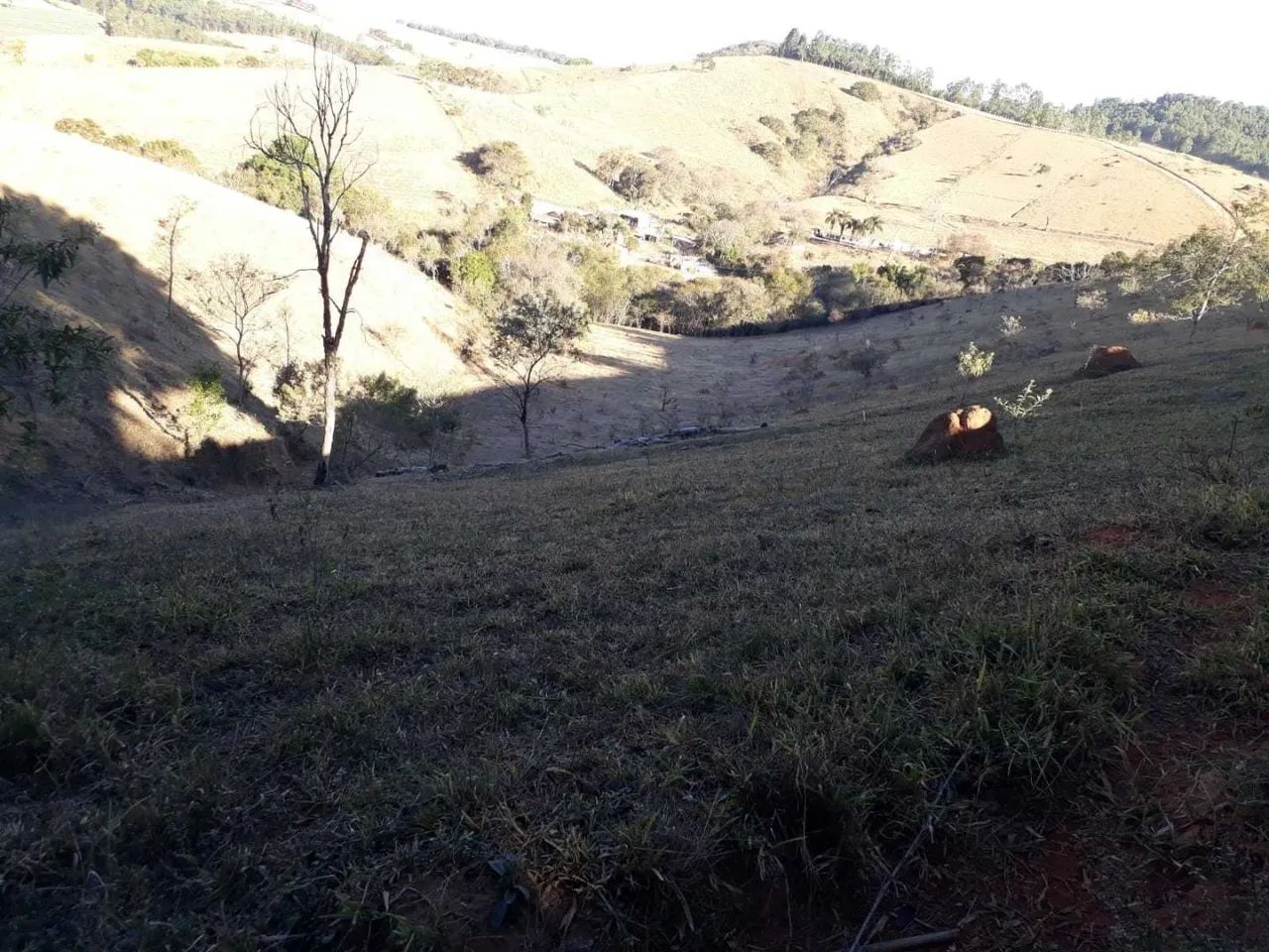 área - Pinhalzinho - Pinhalzinho