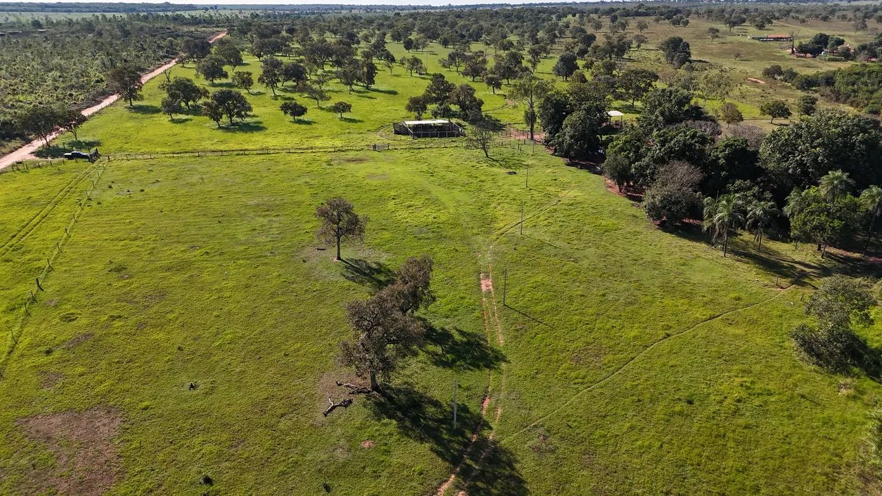 Sítio 37,62 Hectares Três Lagoas MS - Foto 3