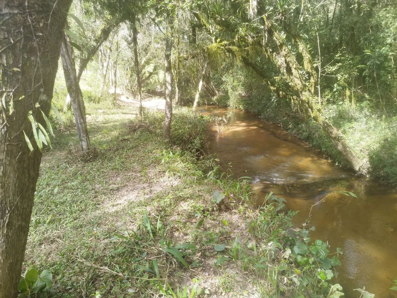 Terreno chácara  - Foto 4