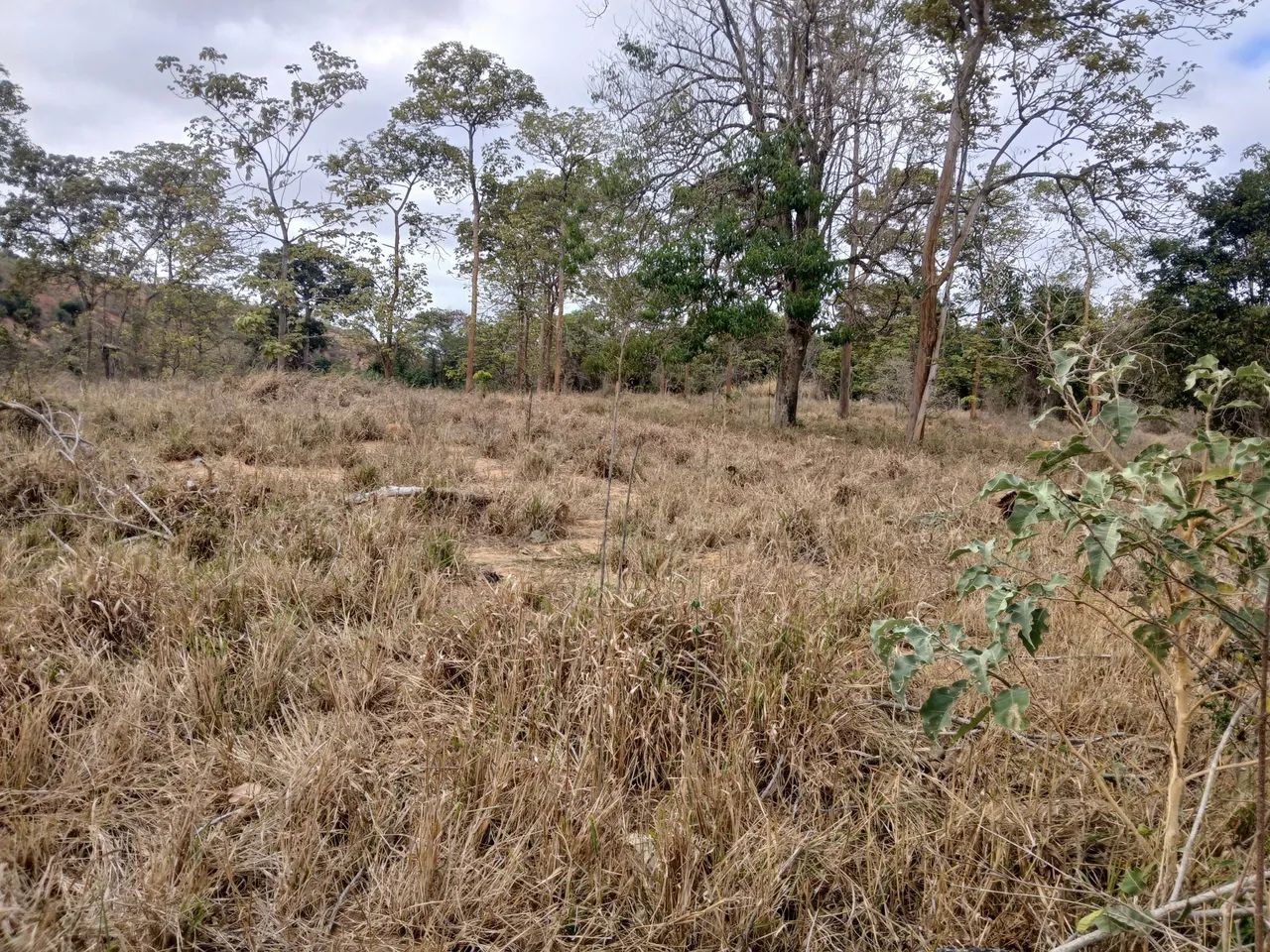 Chacara - Foto 3