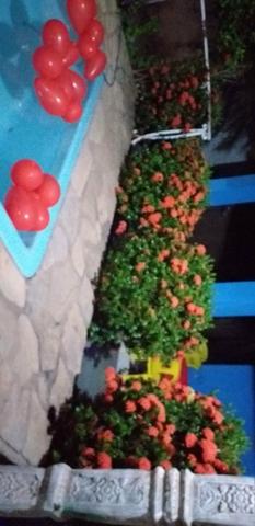Casa muito boa- Sao João del Rey - Foto 9