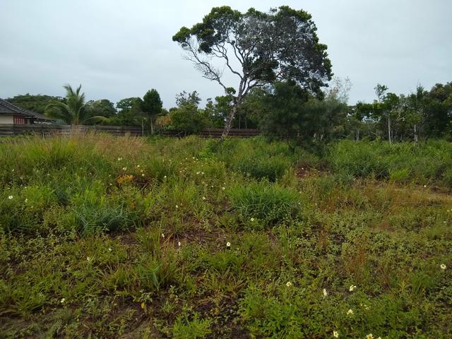 Área de Luxo, Esse Preço É Por Tempo Limitado Aproveite!! - Foto 16