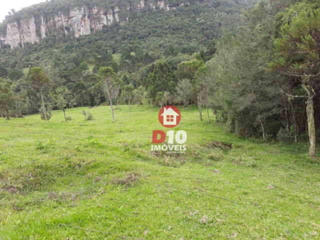 Terreno de 30 alqueires em ponte alta - sc - Foto 17
