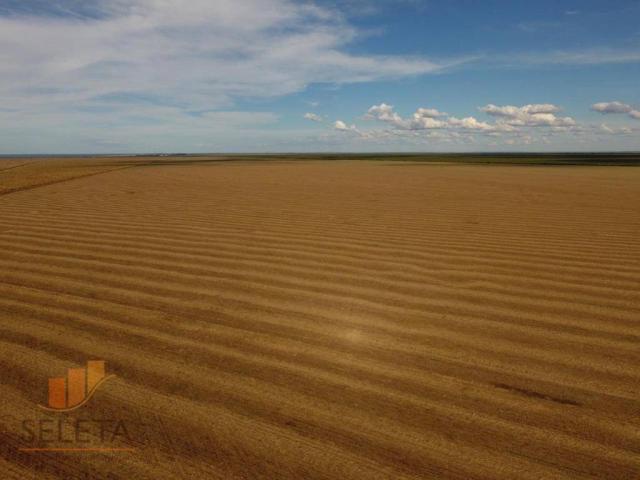 Fazenda à venda, 12650000 m² por r$ 16.000.000 - vila rica - barreiras/ba - Foto 2