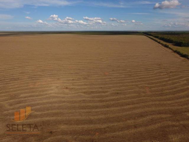 Fazenda à venda, 12650000 m² por r$ 16.000.000 - vila rica - barreiras/ba - Foto 6