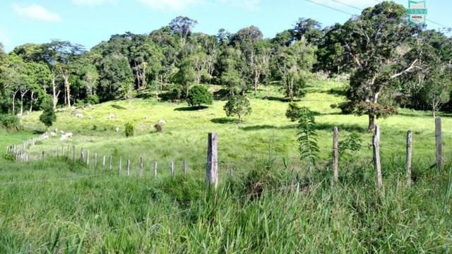 Ubaitaba. Fazenda de 78 Hectares, toda arrumada com infraestrutura e produção. - Foto 9